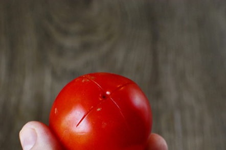 prepare tomatoes