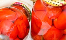 rajčata s bazalkou