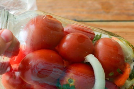 rozložit rajčata