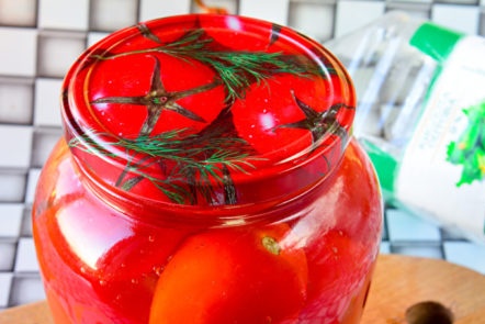 sklenice nakládaných rajčat