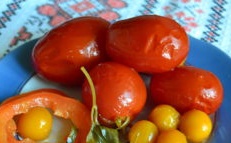 Tomater med körsbärsröd plommon