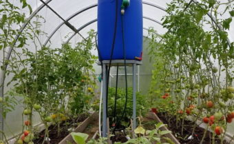 drip irrigation in the greenhouse