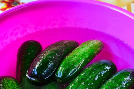 pour cucumbers with water