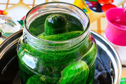 we sterilize jars with cucumbers