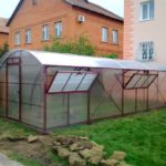 Single greenhouse