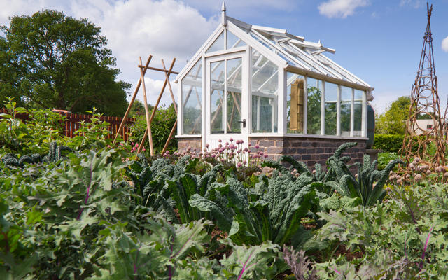greenhouse of window frames