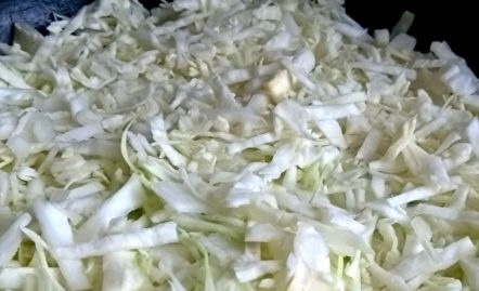 fry cabbage with onions