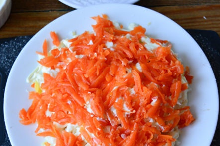 a layer of grated carrots