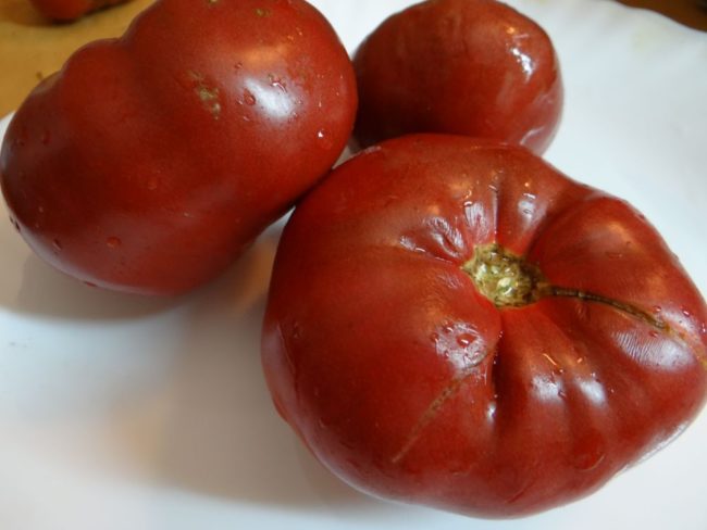 sladké odrůdy rajčat
