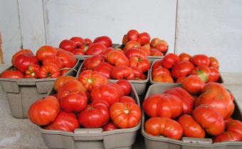 red tomatoes in baskets