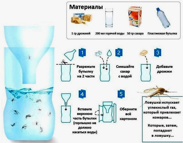 lovushka-dlya-komarov