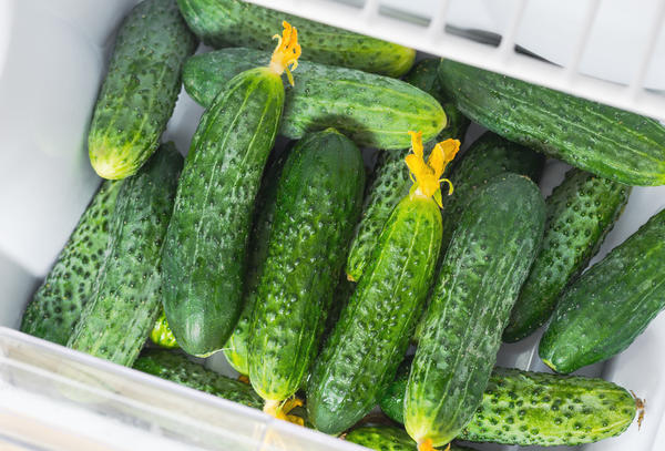 Saving Cucumbers