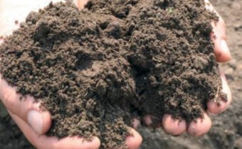 soil acidity