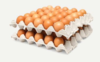 מגשי ביצים